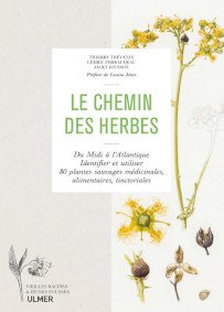 Le chemin des herbes