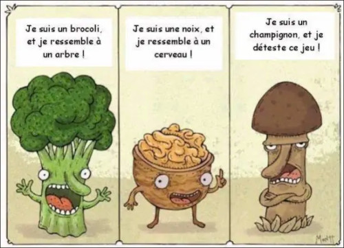 LA THEORIE DES SIGNATURES PLANETAIRES SELON PARACELSE