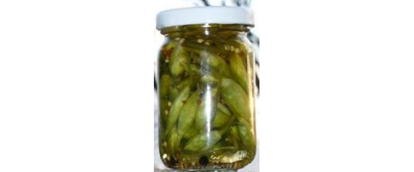 Pickles d'ail des ours
