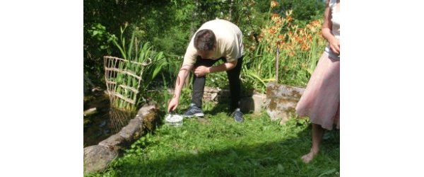 Formation compléte aux élixirs floraux 2024-2025 module TERRAIN (Validation fédération Edelweiss pour chaque module)