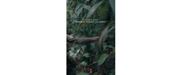 Comment pensent les forêts