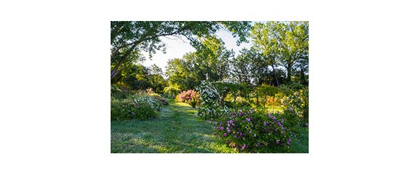Jardin de Gassin