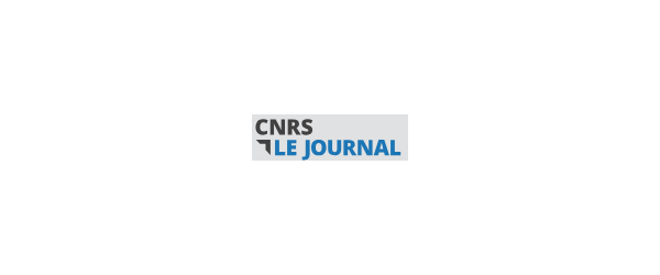 Et les plantes colonisèrent la terre ferme…