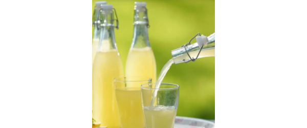  Limonade de sureau ou pétillant de sureau ou champagne de sureau, ou boisson des fées.