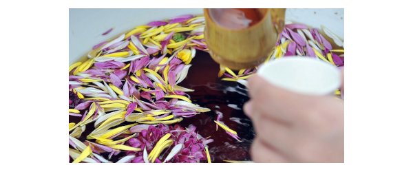 vin de chrysanthème