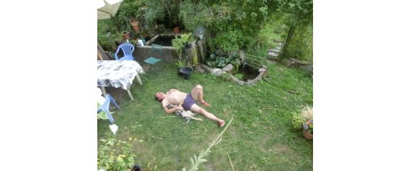 feuille de la sauge été 2024