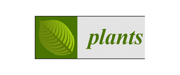 Parler différentes langues : le rôle de la communication plante-plante lorsqu'un envahisseur s'installe