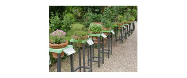 jardin botanique de Florence