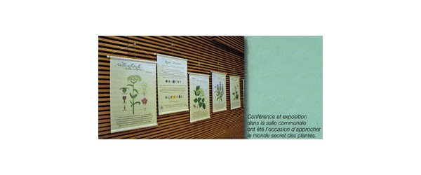 Exposition
